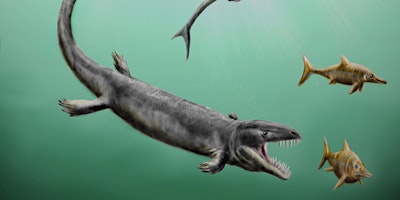 Imagem principal de Dinosaurs and Fossils