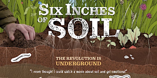 Imagem principal de Six Inches of Soil Screening na Floresta das Lebres