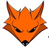Logotipo da organização Teamfoxx