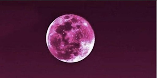 Primaire afbeelding van PINK  FULL MOON GATHERING