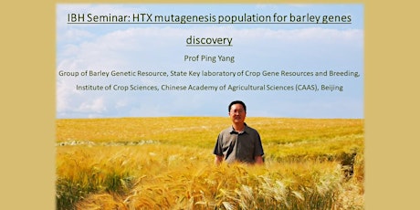 Image principale de IBH Seminar: HTX mutagenesis population for barley genes discovery