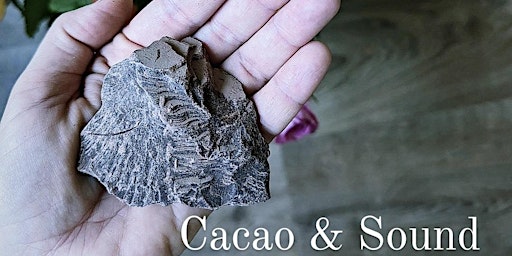 Image principale de Cacao & Sound