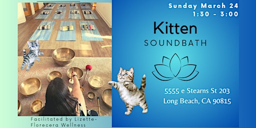 Imagen principal de Kitten Soundbath: Sound Therapy with Rescue Kittens