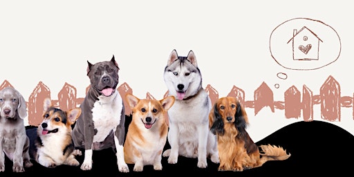 CASA Canine Online Custom Dog Training primary image