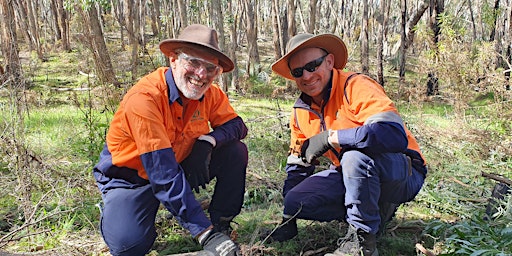 Hauptbild für Caring for Native Vegetation Workshop - 5 May, Hindmarsh Tiers