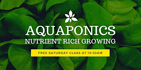 Free Growing Class (Exploring Both Soil & Aquaponics)
