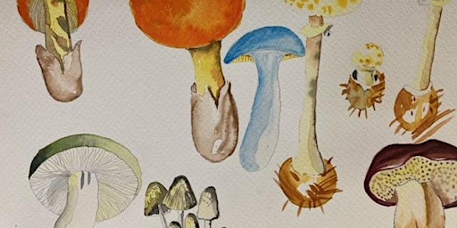 Immagine principale di Paint mushrooms in watercolour 