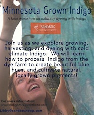 Minnesota Grown Indigo: A Natural Dye Workshop on the Farm primary image