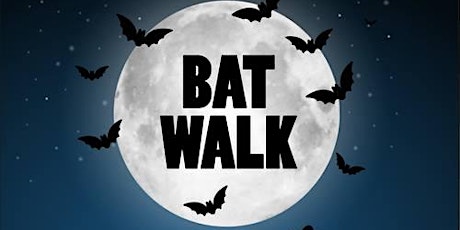 Bat Walk