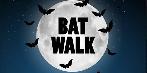 Imagem principal do evento Bat Walk