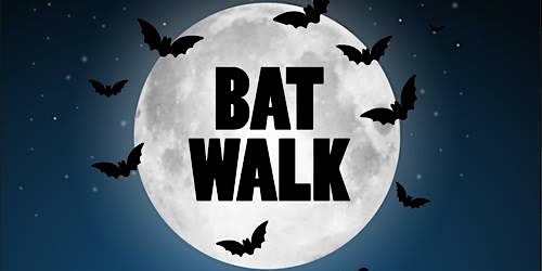 Bat Walk primary image