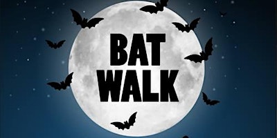 Bat Walk primary image