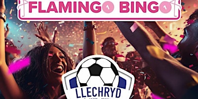 Imagem principal do evento Llechryd Sports Club Flamingo Bingo