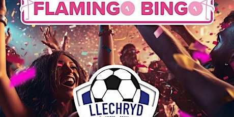 Llechryd Sports Club Flamingo Bingo