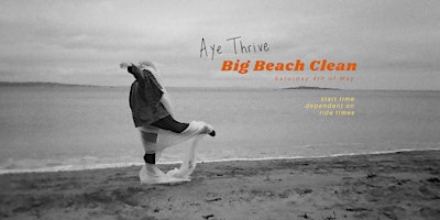 Imagem principal do evento Aye Thrive: Big Beach Clean & MCS Survey