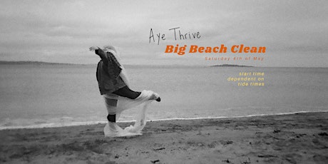 Aye Thrive: Big Beach Clean & MCS Survey