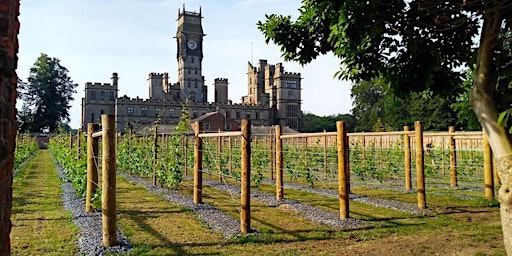 Vineyard Tour  primärbild