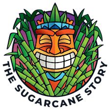 Organizer profile image