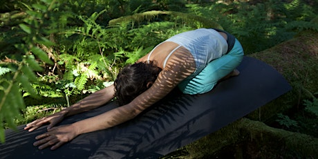 A Soft Place to Land - Connecting to Body and Place Women's Retreat