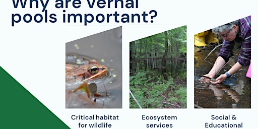 Imagem principal de Spring NH Newaygo County Vernal Pool Patrol Training: Part 2