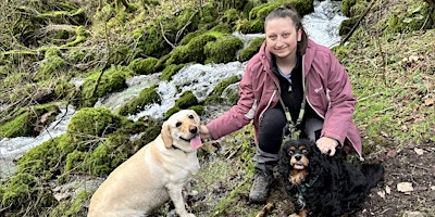 Primaire afbeelding van Lathkill Dale | Bakewell, Peak District | 4km