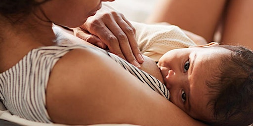 Imagem principal do evento Basics of Breastfeeding