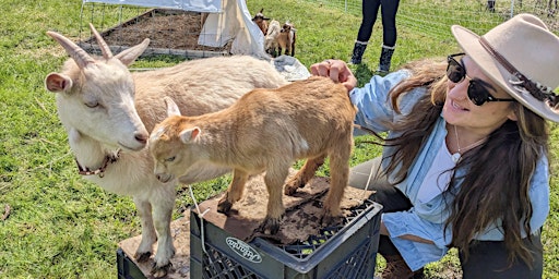 Mothers day goat snugles  primärbild