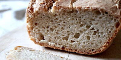 Gluten Free Sourdough Making Class primary image