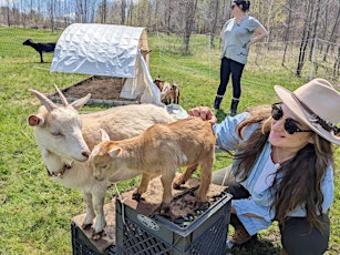 Goat Snuggles