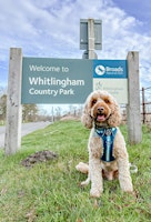 Imagem principal do evento Whitlingham Country Park | Norwich | 3km