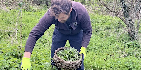 Nettle Soup making