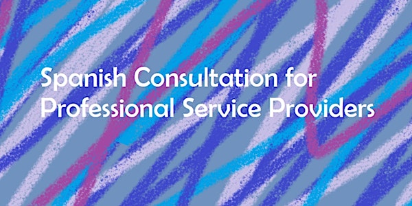 Spanish Consultation for Professional Service Providers - Spring 2024
