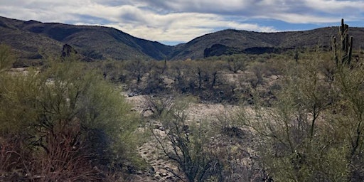 Primaire afbeelding van Dusty Trails and Desert Tales: The Big Shipp Canyon Excursion