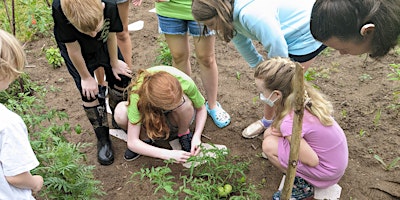 Primaire afbeelding van NMS Farm Summer Adventures Week Four