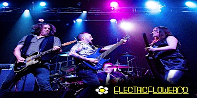 Imagem principal de Electric Flower Co. - 131 Sportsbar & Lounge VIP Booth Rental