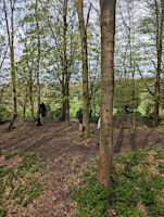 Forest Bathing at Clifton Country Park  primärbild