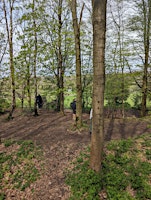 Forest Bathing at Clifton Country Park