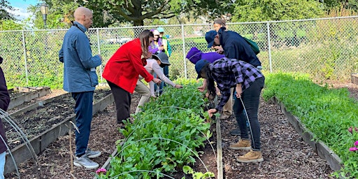 Primaire afbeelding van You Can Garden Too: Summer Garden Planning