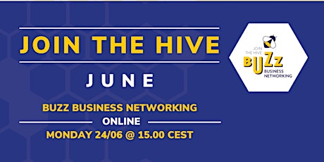 June 2024 Buzz Business Networking - Online primary image