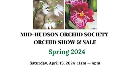 Mid Hudson Orchid Society Spring 2024  Orchid Show & Sale