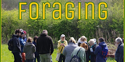 Guided Foraging Walk primary image