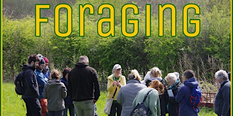 Guided Foraging Walk