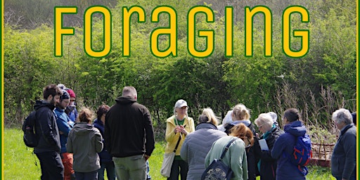 Hauptbild für Guided Foraging Walk