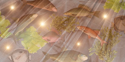 Imagem principal de Aqualumina Workshop: Fish Tank Skirts