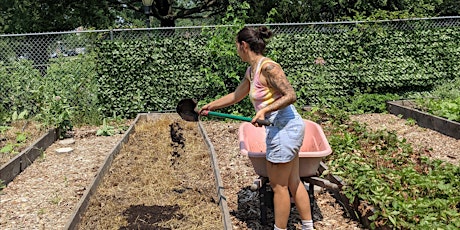 You Can Garden Too: Fertilizing and Amending Soils
