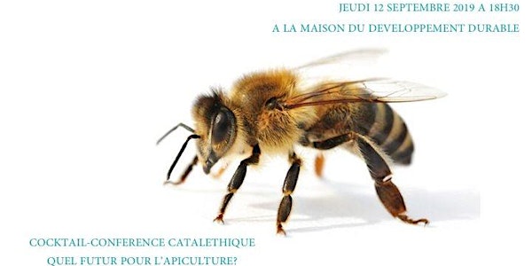Quel futur pour l'apiculture ?