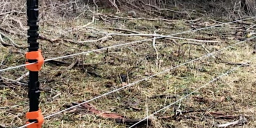 Hauptbild für Electric Fencing