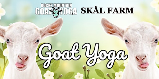 Imagem principal do evento Goat Yoga - May 11th (Skål Farm)