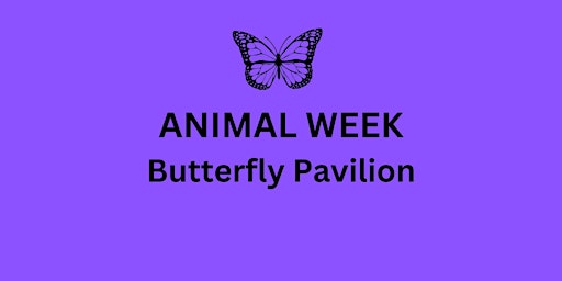 Imagem principal do evento Butterfly Pavilion