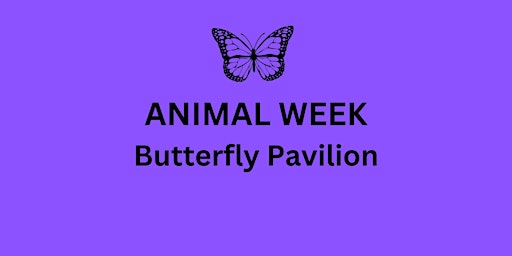 Primaire afbeelding van Butterfly Pavilion